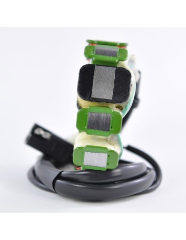 Stator Allumage Arctic Cat Pantera 800 ZRT 800 Thundercat 900 1000 OEM 3005-251 3004-836 3005-012 3004-128 3004-385 3004-452