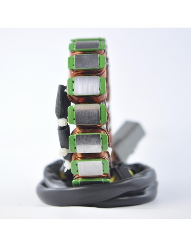 Stator Lynx YETI V800 OEM 420684853 420684852