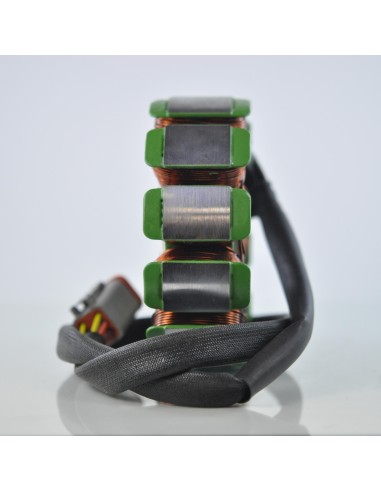 Stator SkiDoo Grand Touring 600 Skandic 600 Tundra 600 Renegade X 600 X 800R GTX 600 MX Z 600 MX ZX 600 Summit 600 800