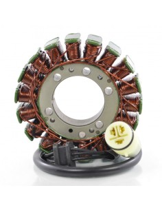 Kawasaki Ninja ZX6R Ninja ZX6RR Z750 Z1000 OEM 21003-0001