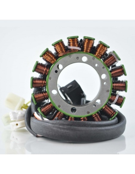 Stator Allumage Polaris 800 Switchback 600 Widetrak 600 800 Rush 600 800 RMK OEM 4012939 4012548 4012113