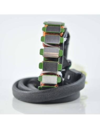 Stator Polaris 800 Switchback 600 Widetrak 600 800 Rush 600 800 RMK OEM 4012939 4012548 4012113