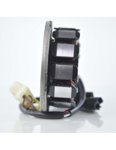 Stator Allumage Polaris 800 Switchback 800 Classic 800Pro 700SKS 700RMK 700XC 800LE 800XC 800RMK OEM 4010297 4060222