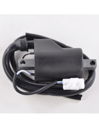 Bobine HT Polaris 800 Rush 800 Dragon 600 800 IQ 700 900 Fusion 700 900 RMK 600 800 900 Switchback OEM 4012136 4011105 4013052