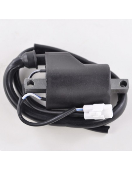 External Ignition Coil Polaris 800 Rush 800 Dragon 600 800 IQ 700 900 Fusion 700 900 RMK 600 800 900 Switchback OEM 4012136 4011