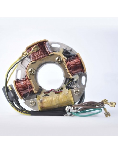Stator Allumage SkiDoo Alpine Formula Mach 1 Nordik Safari Tundra OEM 410914200
