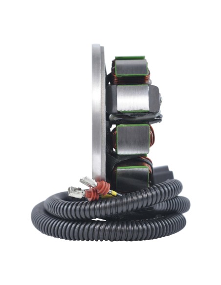 Stator SkiDoo Expedition Grand Touring MX Z Renegade Skandic Tundra 550 600 OEM 420889367