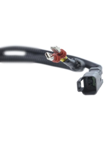 Stator Allumage SkiDoo Expedition Grand Touring MX Z Renegade Skandic Tundra 550 600 OEM 420889367