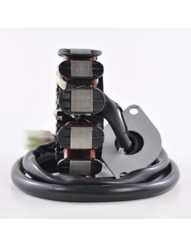 Stator Allumage Yamaha Waverunner XLT1200 Waverunner GP1200  Waverunner XL1200 OEM 66V-85510-00-00