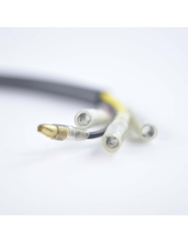 Stator Allumage Yamaha Bravo 250 OEM 8R4-85560-M0-00 