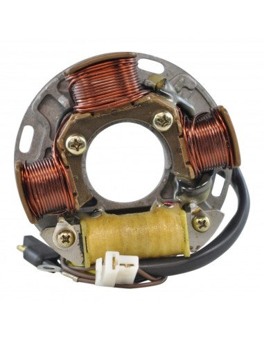 Stator SkiDoo Tundra 250 Nordik 50 60 Formula Plus 500 521 537 580 MX467 Mach 1 600 Safari 377 447 467 OEM 410914700