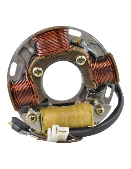 Stator SkiDoo Tundra 250 Nordik 50 60 Formula Plus 500 521 537 580 MX467 Mach 1 600 Safari 377 447 467 OEM 410914700