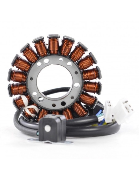 Stator Yamaha TTR250 OEM 4GY-81410-01-00 4GY-81410-02-00