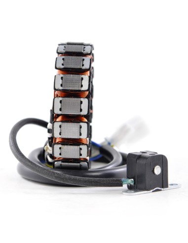 Stator Allumage Yamaha TTR 250 OEM 4GY-81410-01-00 4GY-81410-02-00