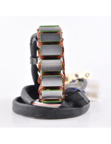 Stator Allumage Yamaha FZR600 FZR600R OEM 3HE-81410-00-00 3HE-81410-01-00
