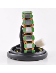 Stator Kawasaki Ninja 250R OEM 21003-0074 21003-0114 2