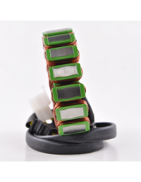 Stator Honda VT750 Spirit American Classic Ace OEM 31120-MBA-004 