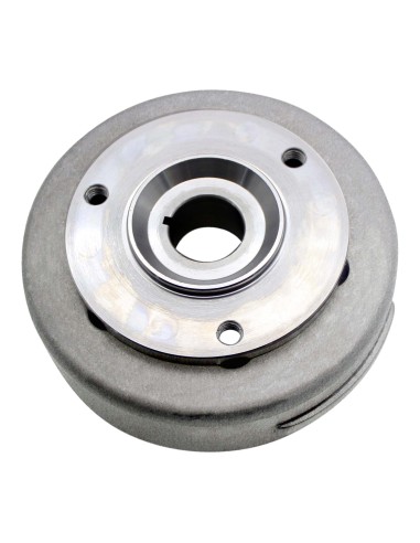 Volant Magnétique Rotor SkiDoo Grand Touring GSX Legend GTX MXZ MXZX Summit 500 600 700 800 OEM 410922947 410922966