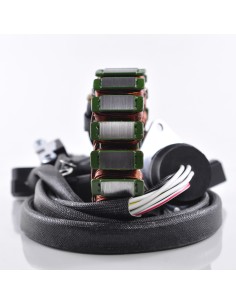 Stator Yamaha Waverunner GP1300R OEM 60T-81410-00-00 60T-81410-01-00  2