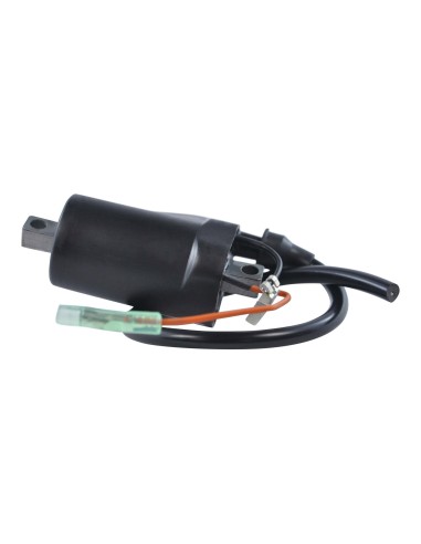 Bobine HT Polaris Ultra 680 600XCR 700XCR 800XCR OEM 3085293 