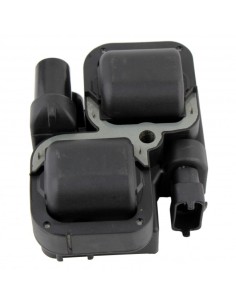 Bobine HT Polaris ACE 900 OEM 2876049 4010425