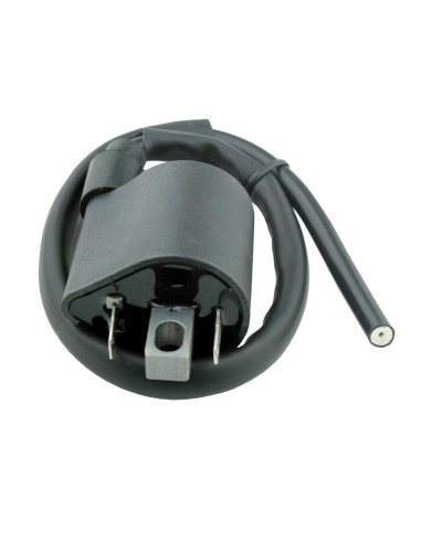 Bobine Haute Tension Yamaha YXM Viking 700 OEM 1D7-82310-00-00 1D7-82310-01-00 5YU-82310-10-00