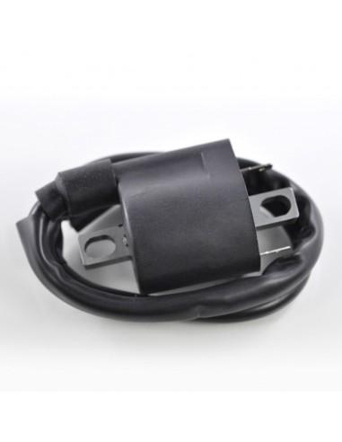 External Ignition Coil Yamaha YXM Viking 700 OEM 1D7-82310-00-00 1D7-82310-01-00 5YU-82310-10-00