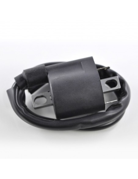 External Ignition Coil Yamaha YXM Viking 700 OEM 1D7-82310-00-00 1D7-82310-01-00 5YU-82310-10-00