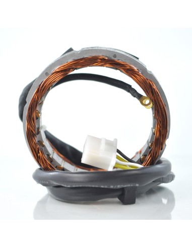 Kit Alternateur Stator Volant Magnétique Rotor Honda CB650 CB750 CB900 CB1000 