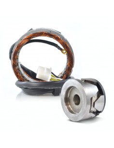 Kit Alternateur Stator Volant Magnétique Rotor Honda CB650 CB750 CB900 CB1000 