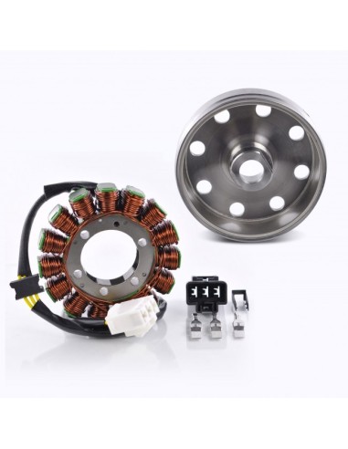 Kit Alternateur Stator Volant Magnétique Rotor Joint Carter Aprilia RSV4 1000 Tuono 1000 V4 Tuono 1100 V4 OEM 897479 2D000049