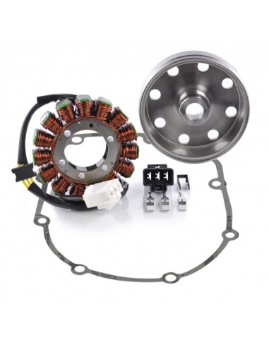 Kit Alternateur Stator Volant Magnétique Rotor Joint Carter Aprilia RSV4 1000 Tuono 1000 V4 Tuono 1100 V4 OEM 897479 2D000049