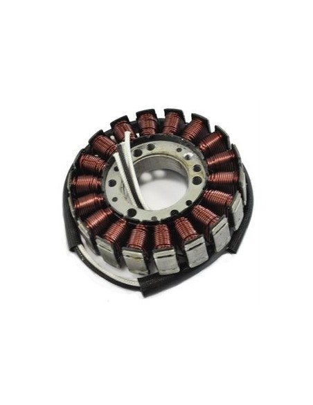 Stator Allumage Sea Doo Sportster 951GSX 951GTX 951XP Speedster 800GSX 800SPX 800GTX Challenger 800XP OEM 290886588 420886588
