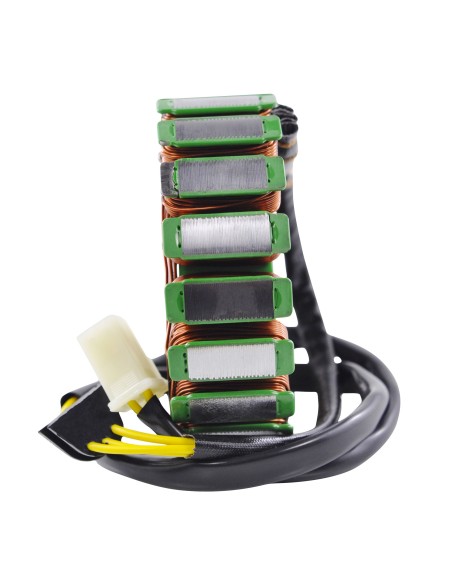 Stator Ducati 620 695 696 750 796 800 900 1000 1100 Monster 1000 1100 Multistrada OEM 264.4.014.2B 264.4.014.3B 264.4.022.1A