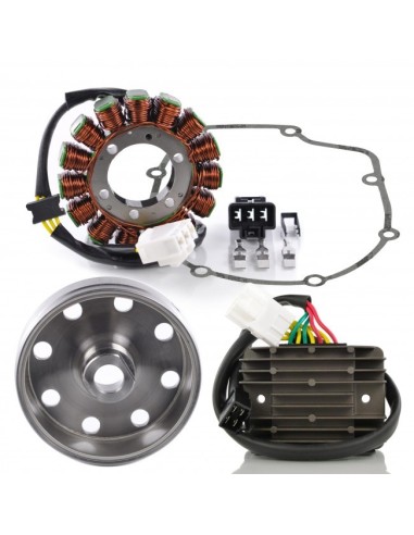 Kit Stator Rotor Joint Carter Régulateur Rectifieur Aprilia RSV4 1000 Tuono 1000 V4 Tuono 1100 V4 OEM 897479 2D000049