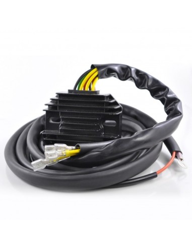 Regulator Guzzi Strada 750 Targa 750 Mille GT NTX650 NTX750 LeMans 1000 1000SP V35 V50 V65 V75 850T V1000 750S V7 750