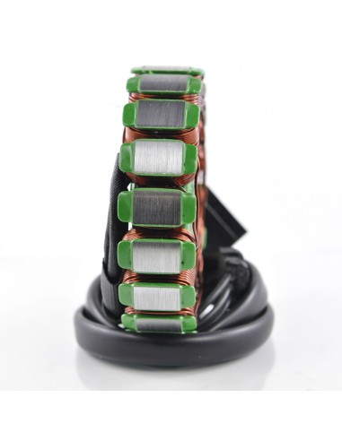 Stator Kawasaki Ninja 1000 Z1000 OEM 21003-0096 21003-0122 