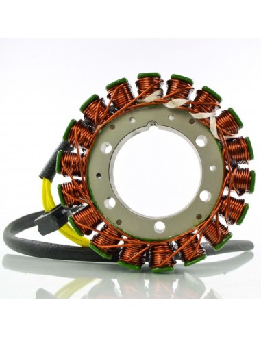 Stator Allumage BMW F700GS F650GS F800GS F800R F800S F800ST OEM 12317690427 12318524422 