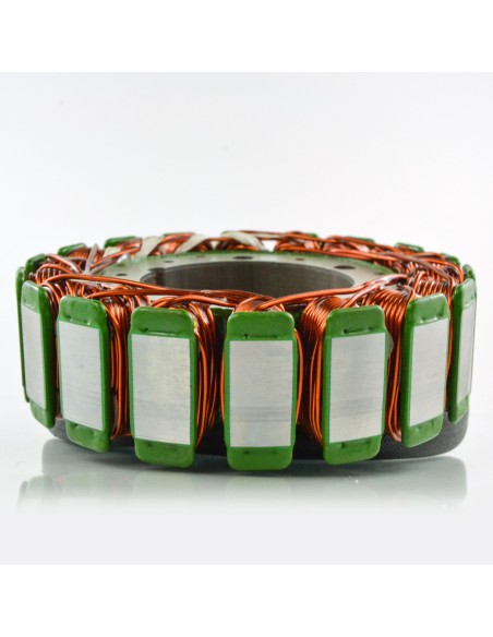 Stator Allumage BMW F700GS F650GS F800GS F800R F800S F800ST OEM 12317690427 12318524422 