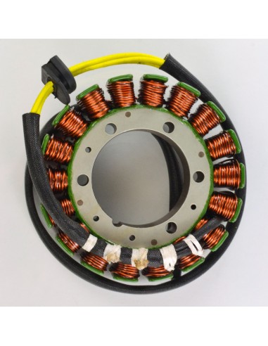 Stator Allumage BMW F700GS F650GS F800GS F800R F800S F800ST OEM 12317690427 12318524422 