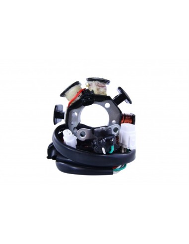 Stator Kawasaki KLX250 KLX300 OEM 21003-1274