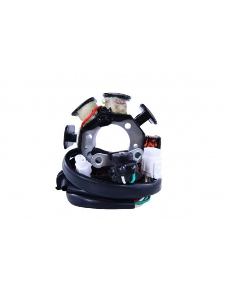 Stator Kawasaki KLX250 KLX300 OEM 21003-1274