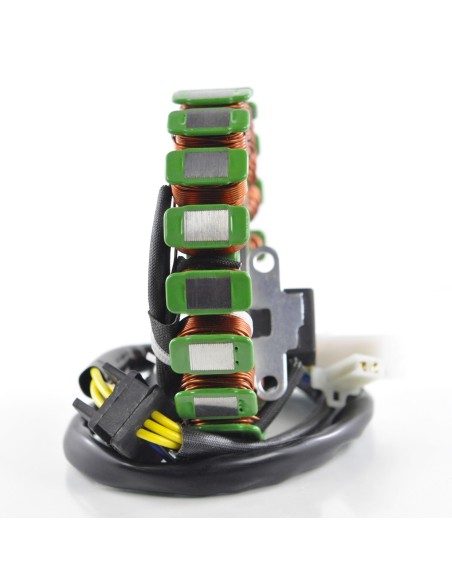 Stator Suzuki GZ250 OEM 32101-13F00