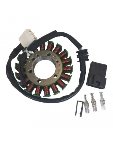 Stator Yamaha FZ6R XJ600 