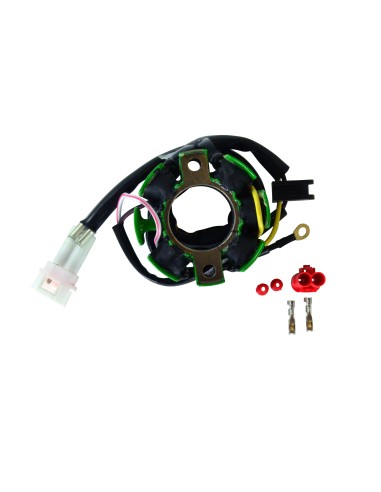 Lighting Stator Husaberg FC450 FC550 OEM 80039004100