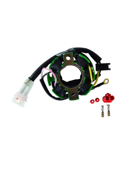 Lighting Stator Husaberg FC450 FC550 OEM 80039004100
