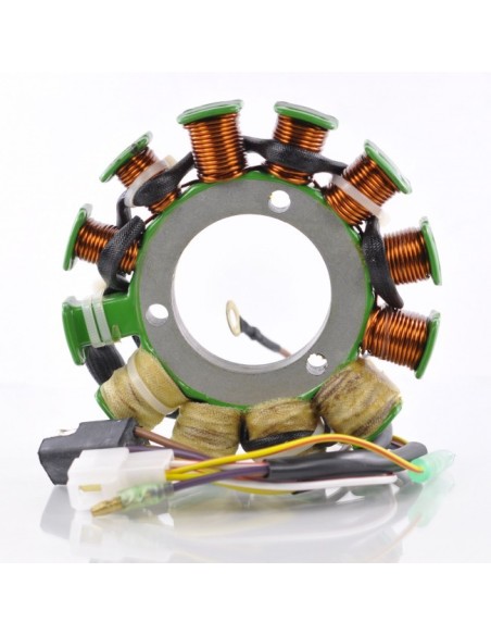 Stator Allumage Arctic Cat Mountain Cat 600 ZR600 OEM 3005-666