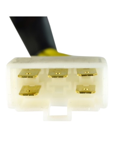 Régulateur Rectifieur Triumph Scrambler 900 Thruxton 900 Speedmaster 800 900 Bonneville 900 T100 TT600 OEM T1300819