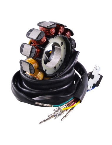 Stator Allumage Kawasaki 1100STX 900STX 1100Zxi 900ZXi OEM 21003-3730