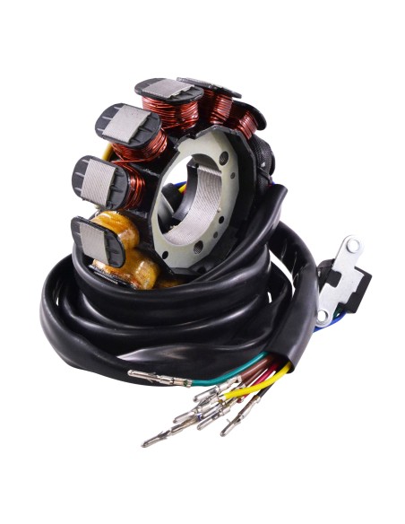 Stator Allumage Kawasaki 1100STX 900STX 1100Zxi 900ZXi OEM 21003-3730